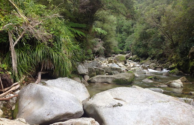 Adrift In Golden Bay - Foto 25