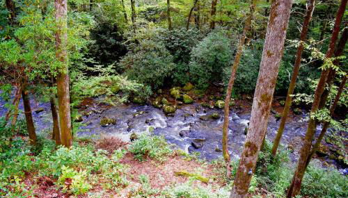 The Junction - Foto 4