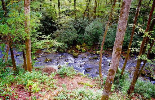 The Junction - Foto 4