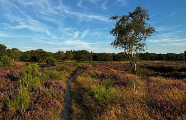 Holiday Home in Haarle Near Sallandse Heuvelrug - Foto 32