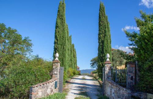 Colle Mafalda - Foto 28