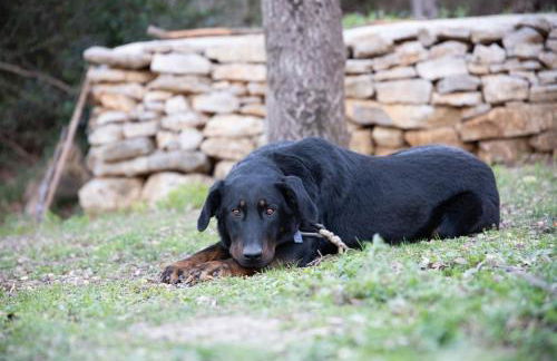 Entre Ciel et Terre - Foto 16