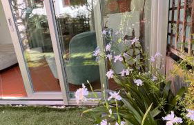 Garden Suite - Foto 2