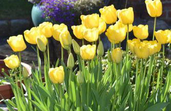 Kreativhof Lehmberg - Photo 35