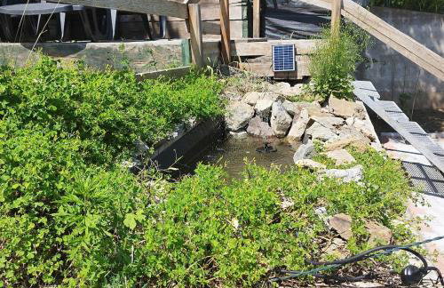 Casa Pinocchio - Foto 23