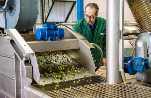 Agriturismo Vecchio Borgo di Inalbi - Foto 27