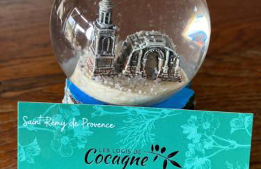 Les Logis de Cocagne - Foto 50