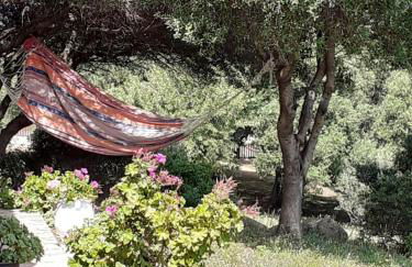 agriturismo gli olivastri -appartamento bel vedere con piscina ,solarium e vista mare,climatizzatore ,wifi - Photo 14