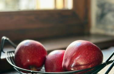 Black Rock Agria - Foto 29