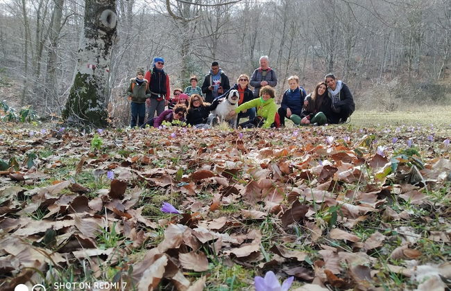 Bio Agriturismo La Cerqua - Foto 79