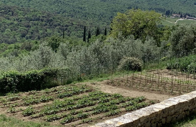 House in Tuscany Near Castello di Montozzi - Foto 40