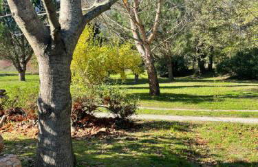 Borie Grande - Foto 25