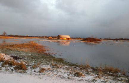 Ferienhaus "Sommerbrise" - Foto 12