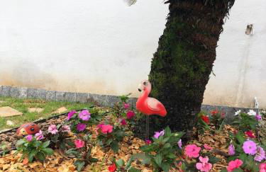 Casa Iririú · Casa exclusiva no terreno com jardim - Photo 21