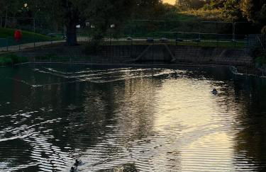 Mona's Home - Foto 19