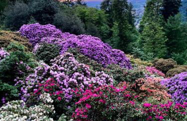 stylish suite OldTown free parking Air Condition - Foto 14