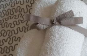 Tessa's Holiday - Photo 25