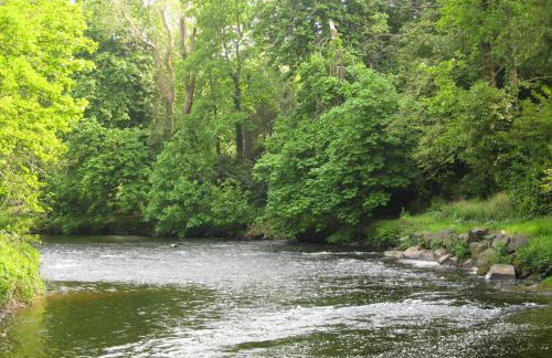 Doonbank Cottage Bothy - Foto 33