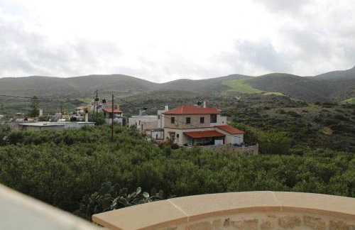 Aloni Studio - Foto 32