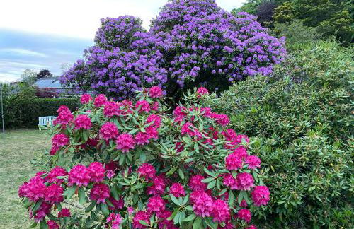 Stables Cottage - Foto 37