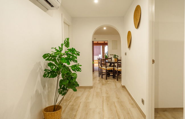 Ullastro Pollença - Foto 16