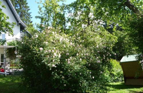 "Villa am Waldweg" Comfortable holiday residence - Foto 17