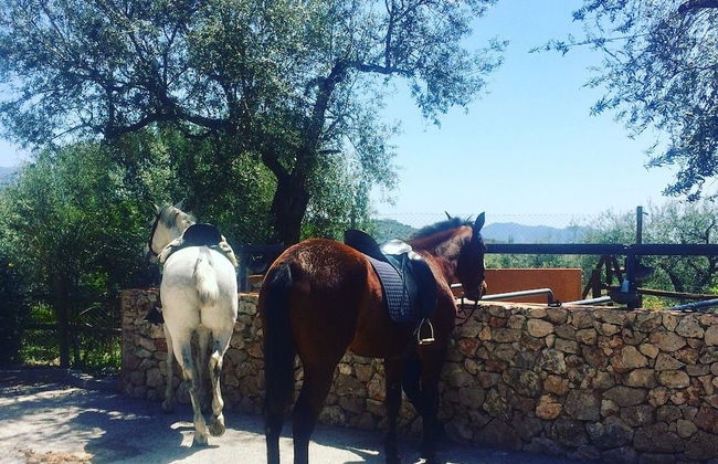 Complejo Turístico Rural Las Mayoralas - Foto 62