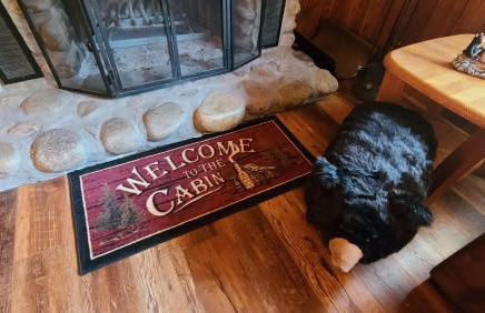 Along The River - Foto 7