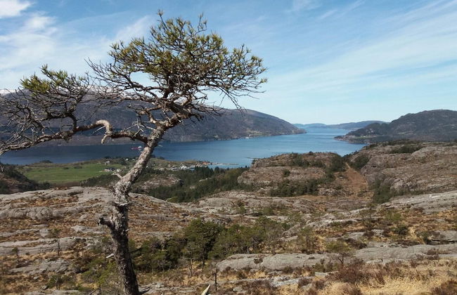 6 Person Holiday Home in Huglo-by Traum - Foto 40