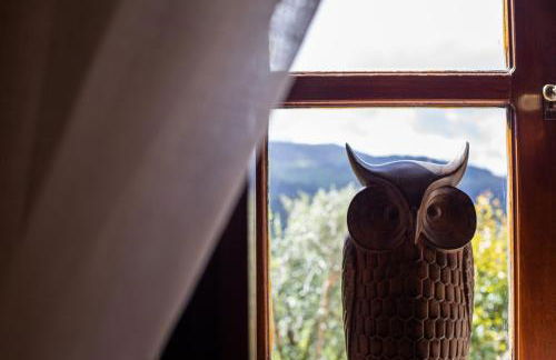 Rectoral de Fofe - Foto 122