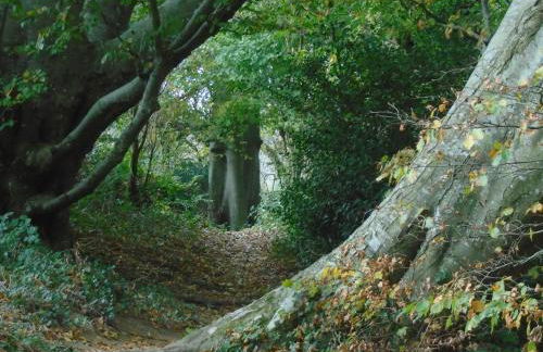 Greenham Cottage - Photo 30