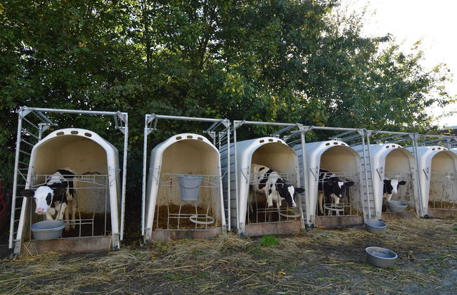 Lovely Holiday Home in Osmanville With Terrace - Foto 30