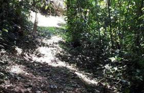 Tao da Serra - cabana em meio à natureza! - Foto 42