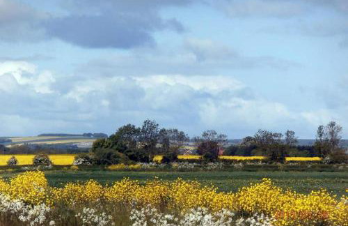 Wolds View - Foto 24