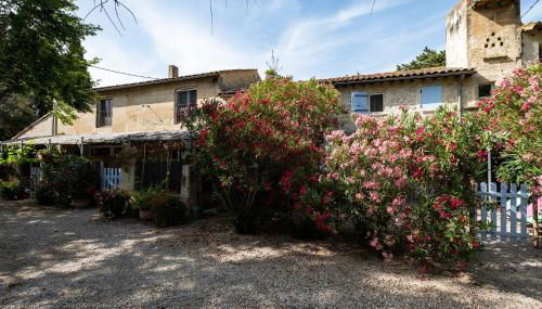 gîte du Pigeonnier Mas Médaille - Foto 3