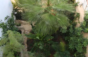 Casa Frajo - Foto 15