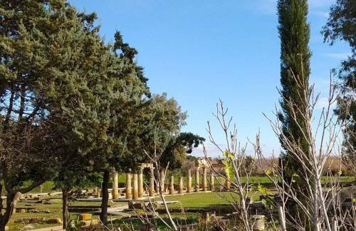 My Place 2 - Foto 26