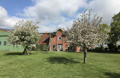 Ferienhof Anke Thiede - Foto 17