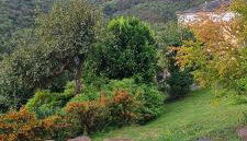 Apartamentos Rurales El Bosque de las Viñas - Foto 2