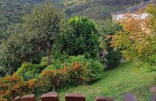 Apartamentos Rurales El Bosque de las Viñas - Photo 2