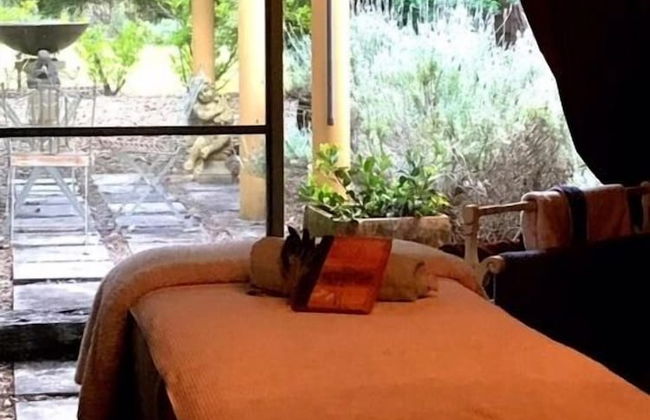 Le Petit Palais Villas - Photo 14