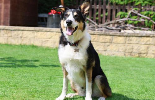 Howard Cottage - Foto 50