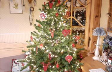 FW Bines Rosengarten - Foto 3