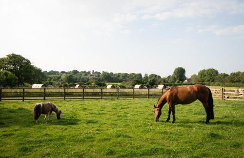 Sedgewell Barn by Wigwam Holidays - Foto 27