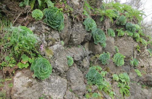 Villa Deluxe Suites Maspalomas - Photo 66