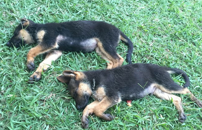 Das Marienkaeferhaus - Photo 27