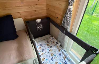 Pod Brzozą - Foto 15