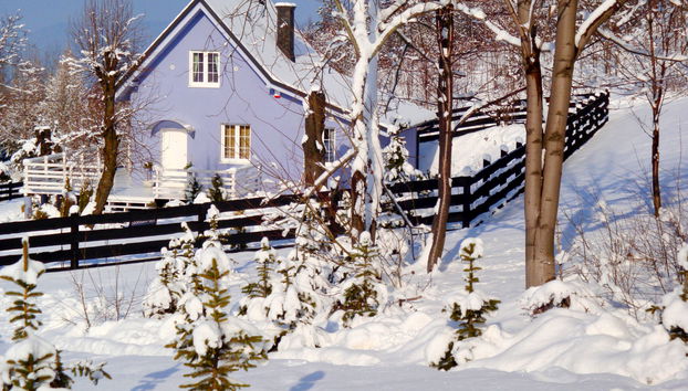 Niebieski - Foto 2, House