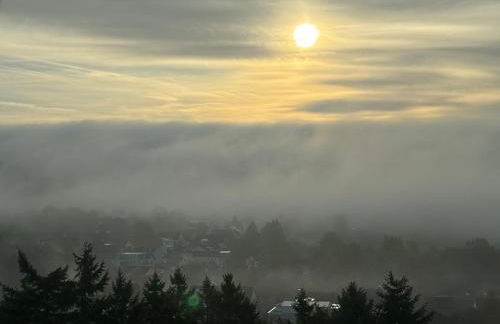 Panorama-Auszeit in Trierweiler - Foto 43