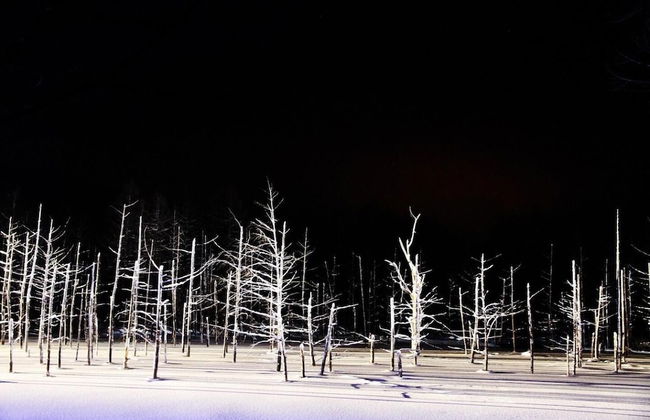 Stay in Biei - Foto 54